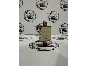AEG NT00 gL 500V 50A Fuse