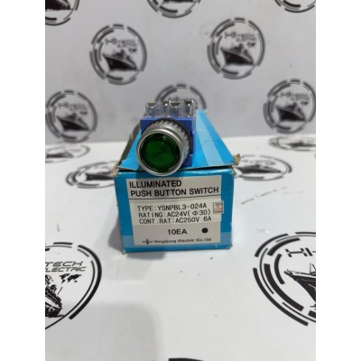 lluminated Push Button / Pilot Lamp Switch